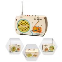 DIY Wooden FM Radio Kit thumbnail 5
