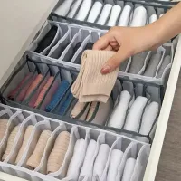 Foldable Underwear & Bra Organizer thumbnail 3