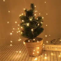 12m Solar Fairy Lights - 100 LEDs thumbnail 5