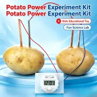 Potato Battery STEM Kit for Kids thumbnail 1