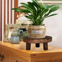 Wooden Plant Stand Pot Base Holder thumbnail 4
