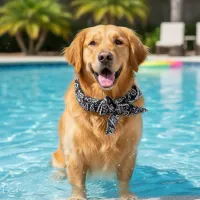 Pet Cooling Ice Scarf Collar thumbnail 2
