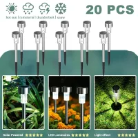 Solar Garden Pathway Lights thumbnail 1