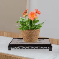 Plastic Plant Stand Display Shelf thumbnail 4