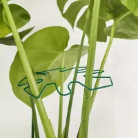 Large Hanging Plant Stand with Iron Hooks thumbnail 2