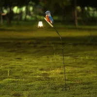 Solar Hummingbird Garden Light thumbnail 5