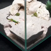 3D Printed Aquarium Tunnel & Cave Decor thumbnail 3