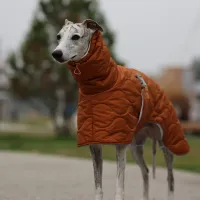 Waterproof Winter Dog Jacket with Adjustable Straps thumbnail 3