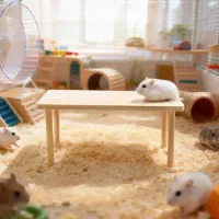 Hamster Playpen with Climbing Bridge thumbnail 4