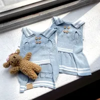 Teddy Bear Knitted Dog Sweater thumbnail 2