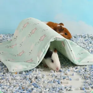 Best Small Pet Cooling Beds under $15 for Hamsters and Rabbits Summer 2024 product 4