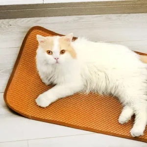 Best Reusable Pet Cooling Mats under $15 for Dogs and Cats 2024 V4 product 4