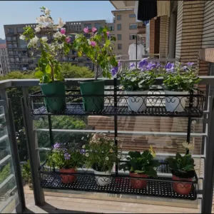 Window Sill Organizers for Small Apartments Collection 2024 product 2