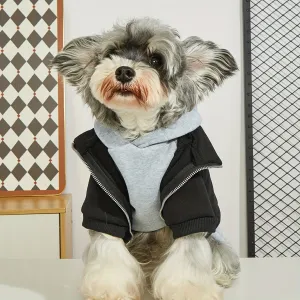 Best Dog Sweaters & Winter Coats Under $30 — Cozy Fall/Winter Picks product 3