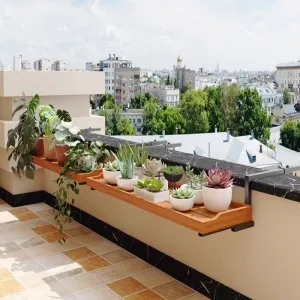 Window Sill Organizers for Small Apartments Collection 2024 product 1
