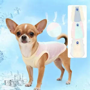 Best Pet Cooling Vests for Small Dogs under $15 Summer 2024 product 1