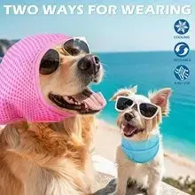 Pet Cooling Collars and Scarves Collection 2024 V9 New 2024 New product 4