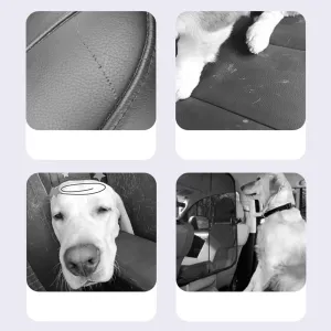 Car Pet Barriers and Backseat Travel Accessories V2 2024 product 2