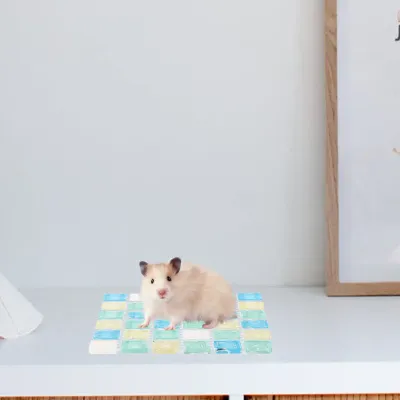 Hamster Cooling Pad Summer Small Pet Sleeping Mat for Hot Weather Chinchilla Rabbit Bunny Cooling Bed Indoor Lightweight Safe