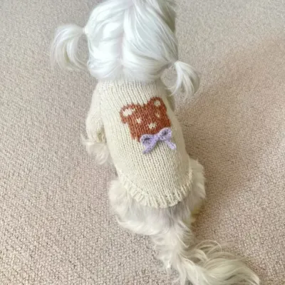 2025 Autumn Winte Knit Puppy Sweaters Classic Beige Cute Bear Bow Hoodie Sweater For Small Medium Dogs Schnauzer Pet Dog Clothes