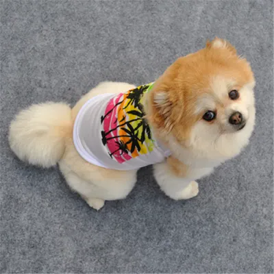 Summer Cooling Vest for Dogs Cats Breathable Mesh Pet Shirt for Small Breeds Schnauzer Teddy Poodle