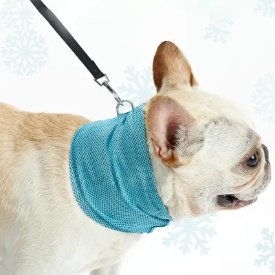 Summer Ice Dog Collar Reusable Physical Instant Cooling Bandana with Leash Hole Prevent Heat Stroke Outdoor Breathable Pet Scarf