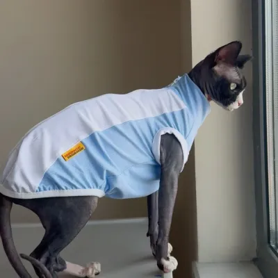High-neck zip-up Sun Protection Stretch Blue Mesh Vest For Sphynx Cat In Summer Breathable Cooling Shirt for Kittens Small Dogs