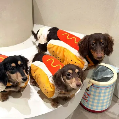 Funny Halloween Dog Costumes Large Small Dogs Cat Hot Dog Shaped Adjustable Pet Clothes Pets Party Costume Suit Bulldog Supplies