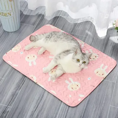 Summer Mat Pet Cooling Ice Blanket Mat Dog Floor Sofa Cushion Breathable Skin Friendly Cat Sleep Washable Small Animal Cold Bed