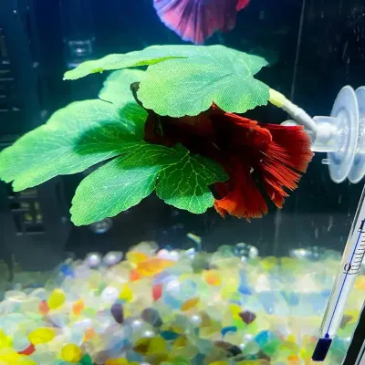 Betta Fish Leaf Hammock Aquarium Decorative Plant Bed for Relaxation Spawning Betta Fish Hammock with Plants Aquarium Decor
