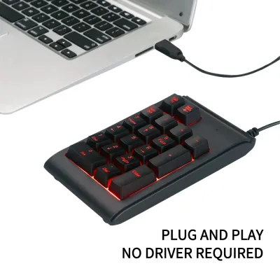 USB Numeric Keypad Wire Numpad Digital with RGB LED Backlit 19 Key Mini Keyboard For Laptop Notebook Tablets Accounting Number