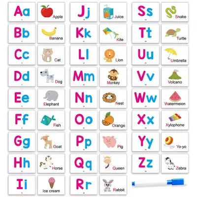27 First Words Flashcards Alphabets ABC Animal Cards with 1 pen  Scholastic Early Learners Educational Chidlren Kids Toys Gifts