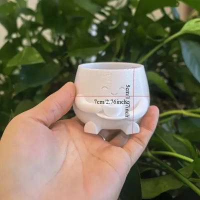 Cute Succulent Pot, Fun Smiling Face Pot, mini Indoor Plant Pot, Home and Office Desk Decoration Gift