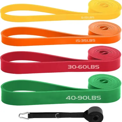 Heavy Duty Resistance Bands Set for Home Workouts, Pull Up Assistance, Full Body Training with Multiple Tension Levels