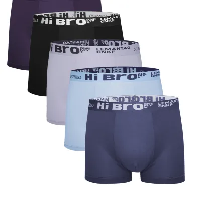 Men's 5-Pack Polyester Boxer Briefs - "Hi Bro" Logo Waistband, Multi - Color Underwear Set