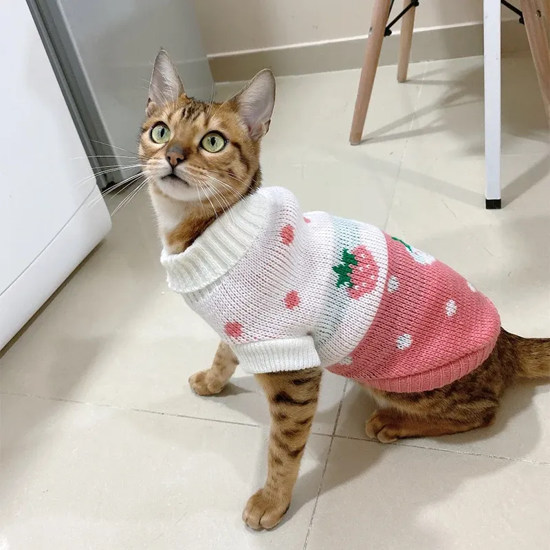 Winter Knitted Pet Sweater Hoodie 3