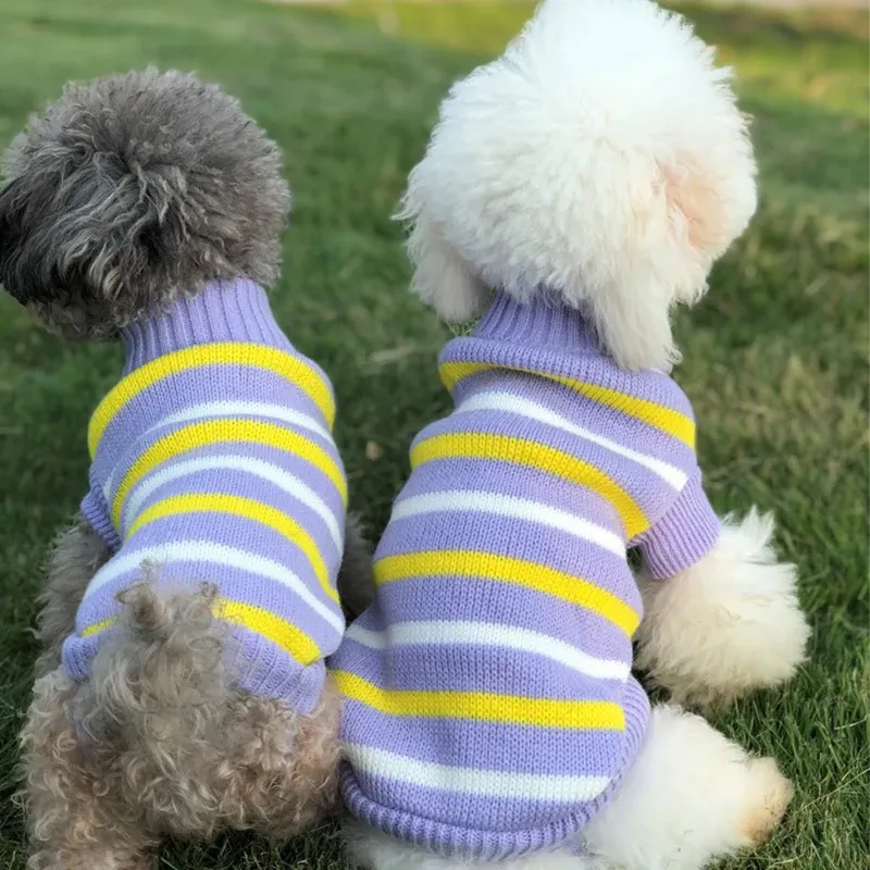 Winter Knitted Pet Sweater Hoodie 5