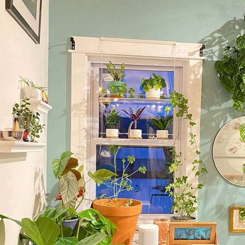 Acrylic Window Plant Shelves 2