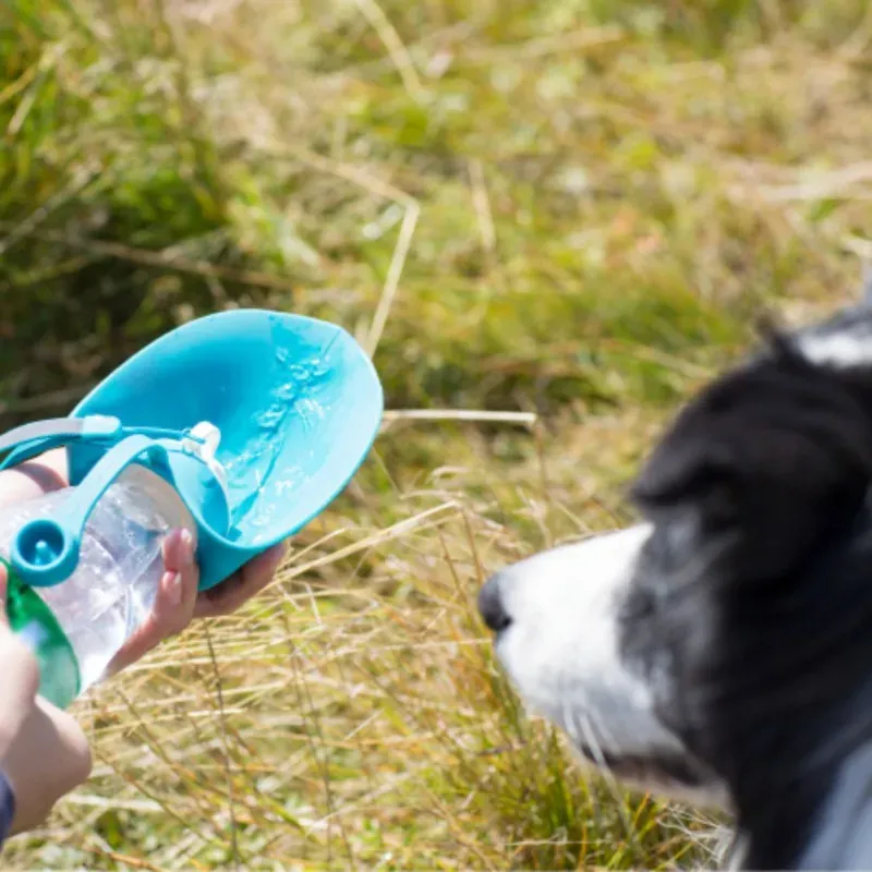 Portable Pet Water Bottle with Silicone Bowl 5