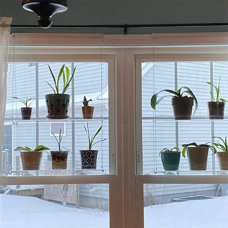 Acrylic Window Plant Shelves 6