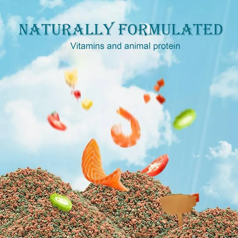 Small Betta Fish Food Aquarium Feed 6