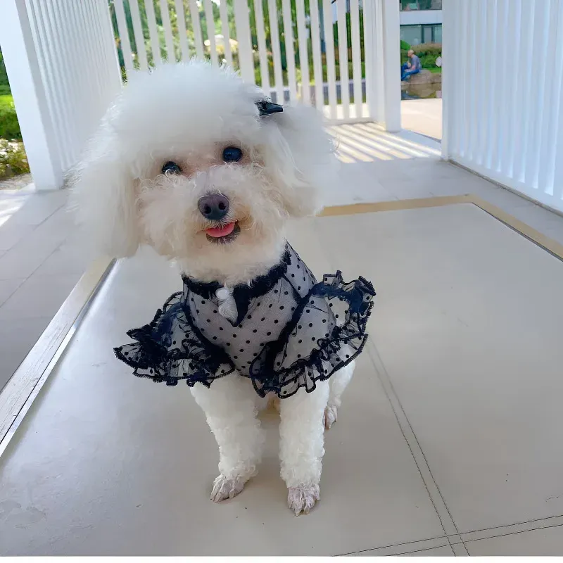 Dog Cooling Vest - Summer Pet T-Shirt 5