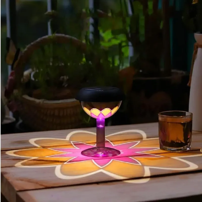 Solar Pathway Light Projector 3