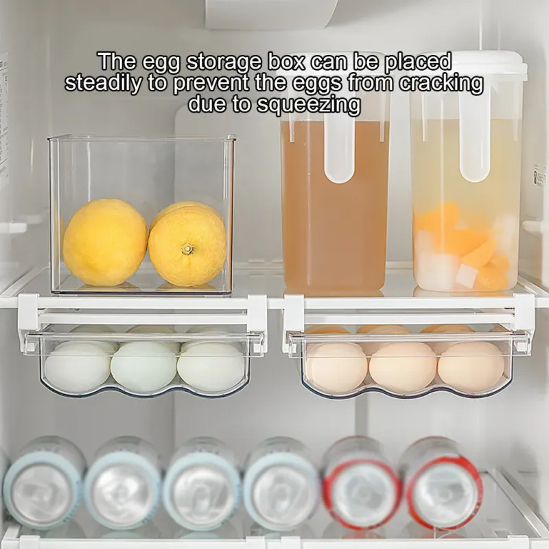 Clear Egg Storage Container 2