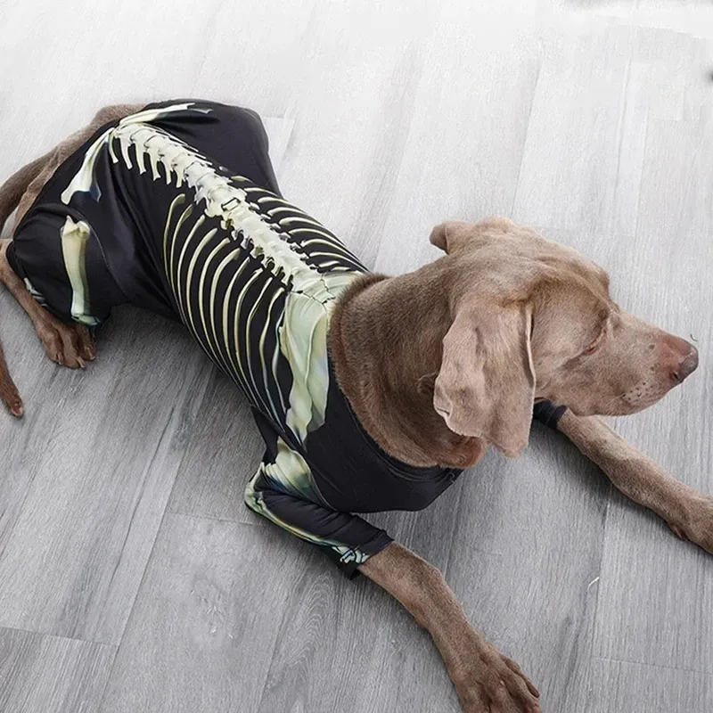 Skeleton Dog Halloween Costume Large 1