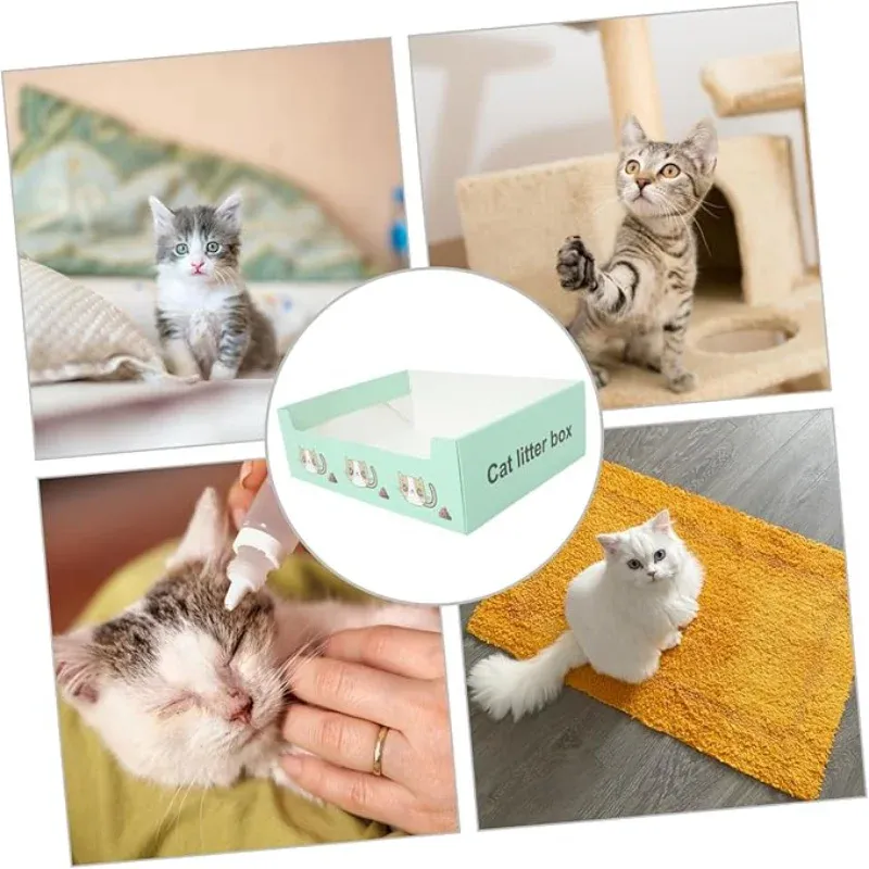 Disposable Foldable Cat Litter Box Set 5