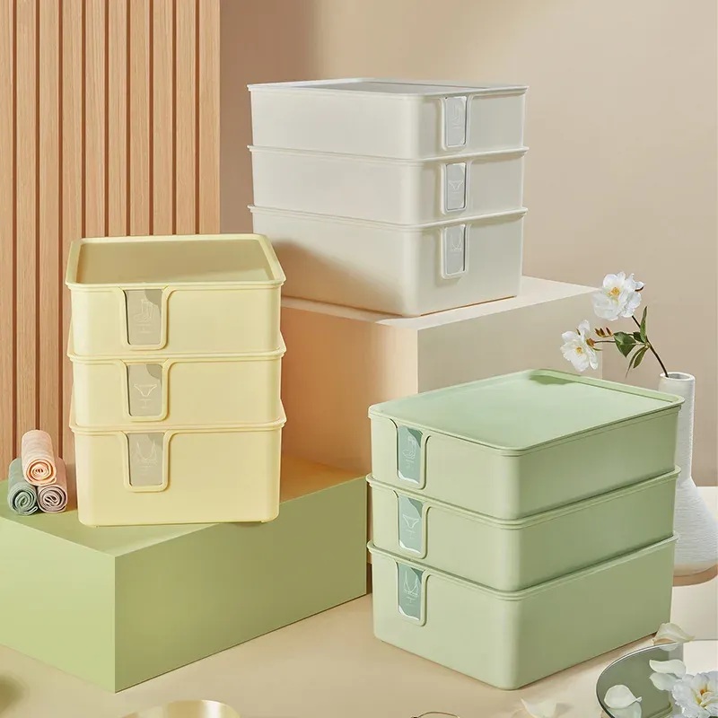 Grid Underwear Storage Organizer Box 2