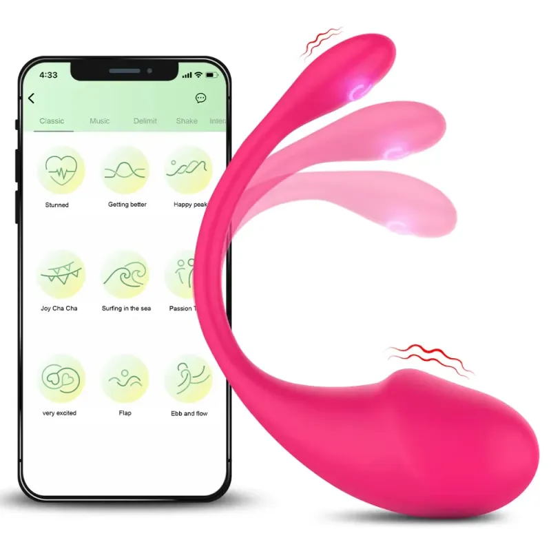 Wireless Remote Panties Vibrator with App 5