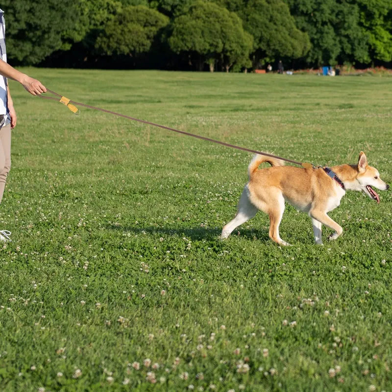 Hands-Free Large Dog Leash 1.8M 6