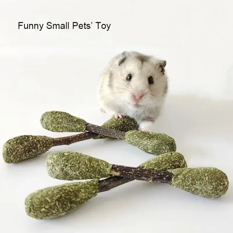 Golden Bear Hamster Foraging Bite Toy 1